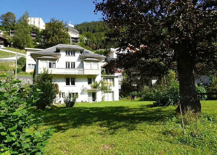 Apartment Bergfried Engelberg fotoğrafı